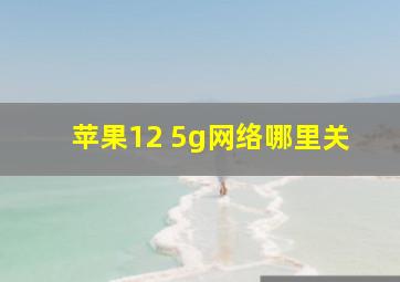 苹果12 5g网络哪里关